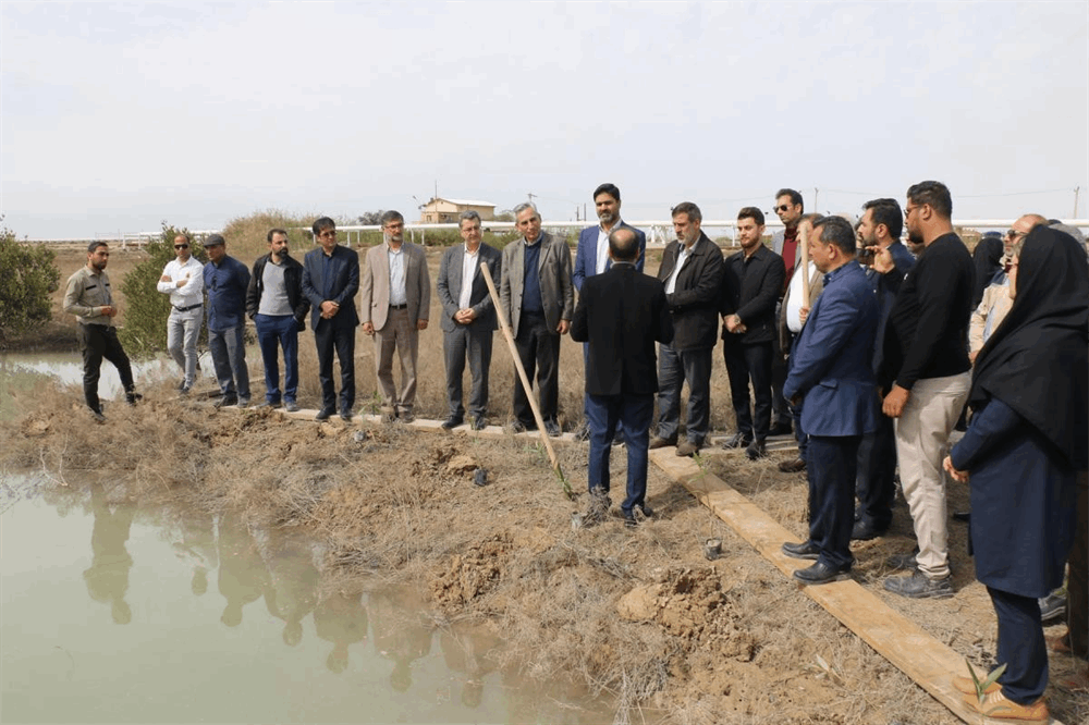 آغاز عملیات اجرایی توسعه فضای سبز هزار هکتاری در خورهای ماهشهر